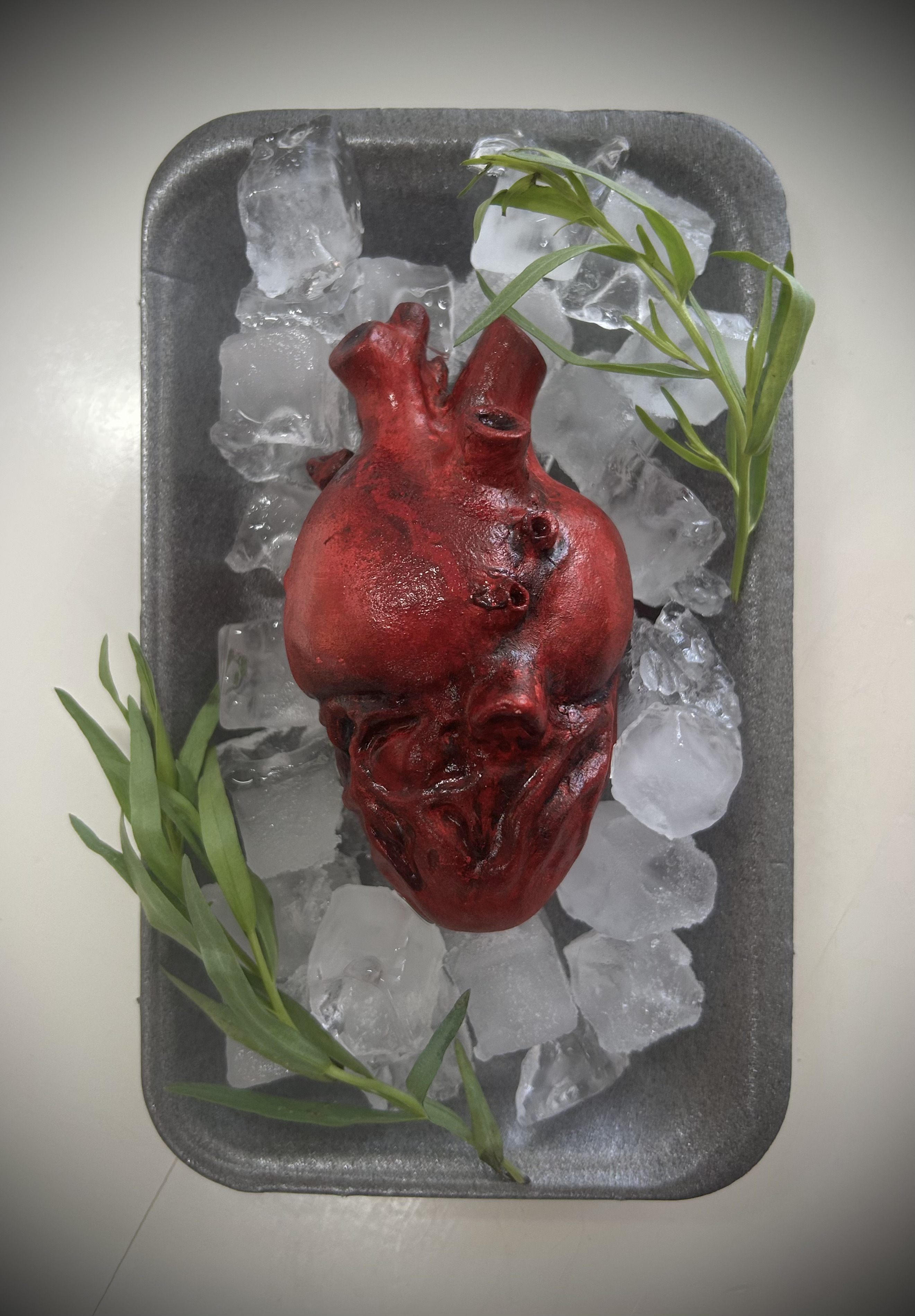 Tanya Fishmann, Anatomical Heart, 2026, prototype of a sculptural object exploring the body as symbol, offering and material presence